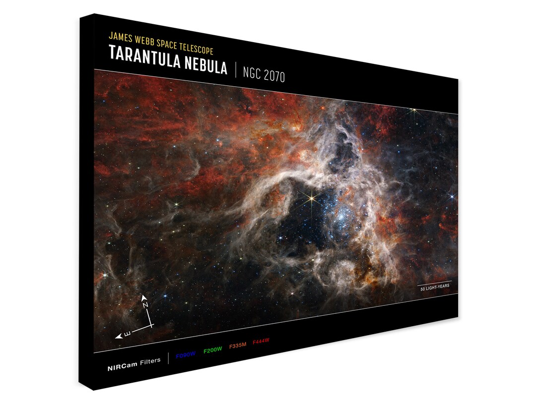 Teleskop Kosmiczny Jamesa Webba Mgławica Tarantula (Obraz