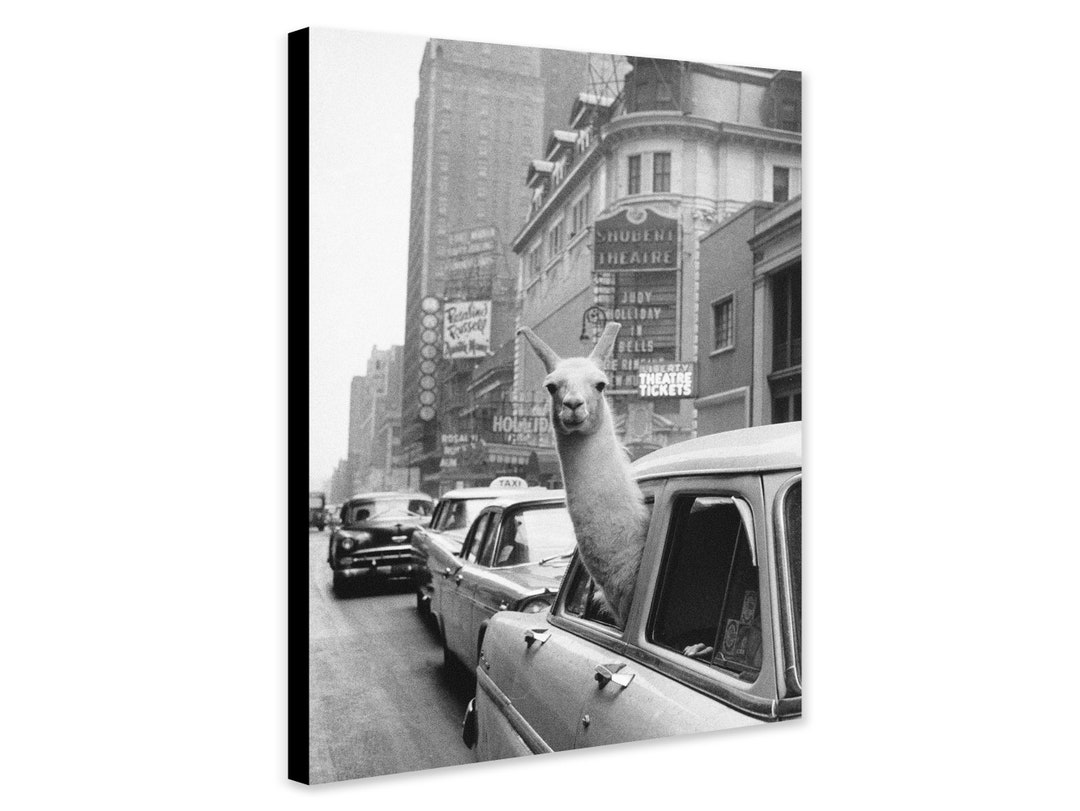 Reproduction Banksy - "Follow Your Dreams Cancelled" - Toile Roulée