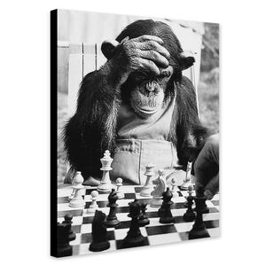 Può includere: Una fotografia in bianco e nero di uno scimpanzé seduto a un tavolo da scacchi. Lo scimpanzé si sta coprendo il viso con la mano, come se fosse frustrato. La scacchiera è impostata con pezzi su entrambi i lati.
