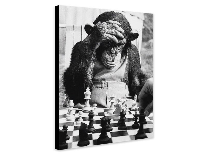 Monkey Chess Set Monkey Playing Chess Wall Art - Wrapped Frame Canvas - Rolled Canvas ...
