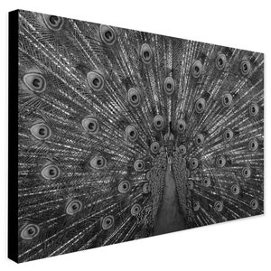 Peacock Bird - Monochrome - Wrapped Framed Canvas - Rolled Canvas - Photo/Poster Print