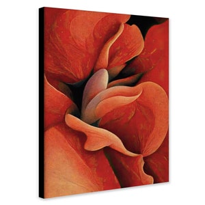 Orange Rose by Georgia O&#39;Keeffe - Wrapped Framed Canvas - Rolled Canvas - Photo/Poster Print