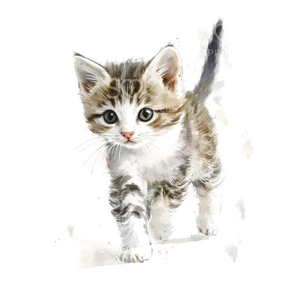 16 かわいい子猫の散歩、愛らしい猫のクリップアート、高品質の JPG