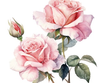 May include: A watercolor painting of pink roses with green leaves and a bud. The roses are in full bloom and have a delicate, romantic feel.