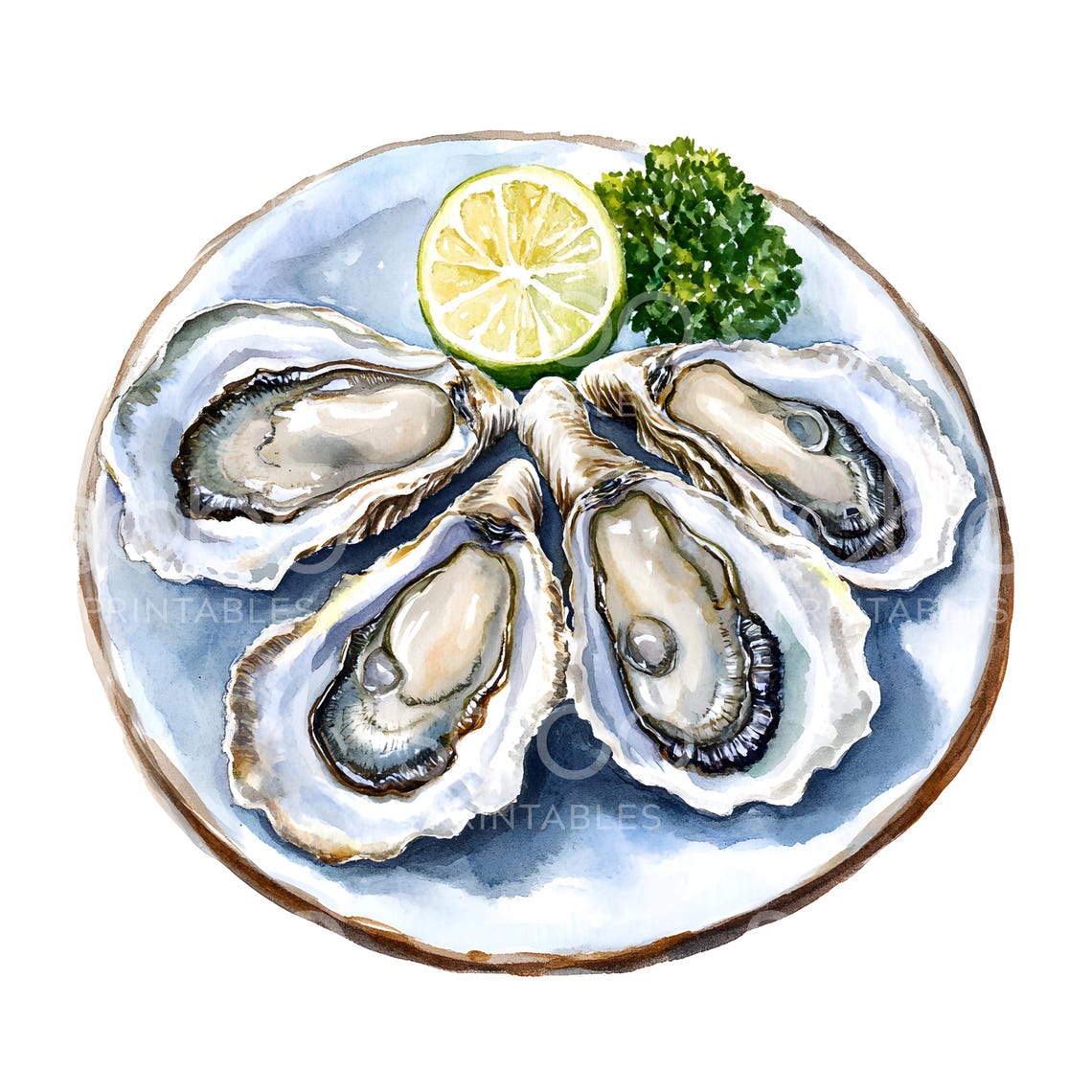 20 Oysters Clipart, Seafood Clipart, Printable Watercolor Clipart, High ...