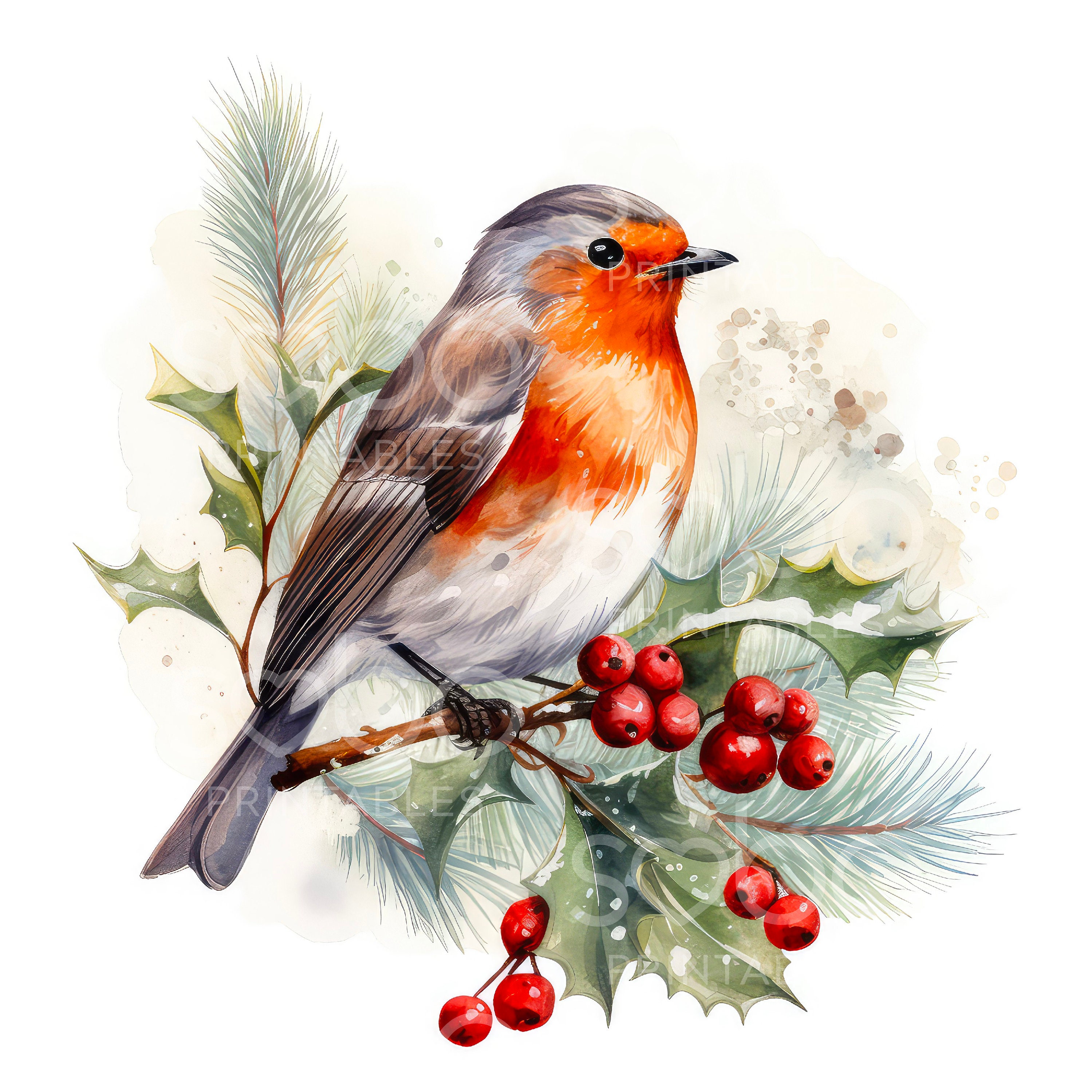 Christmas Robin Clipart - 10 High Quality Jpgs, Digital Planner, Junk ...