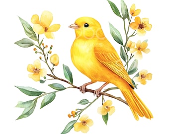 16 カナリア鳥のクリップアート、かわいい水彩画のカナリア鳥、高品質