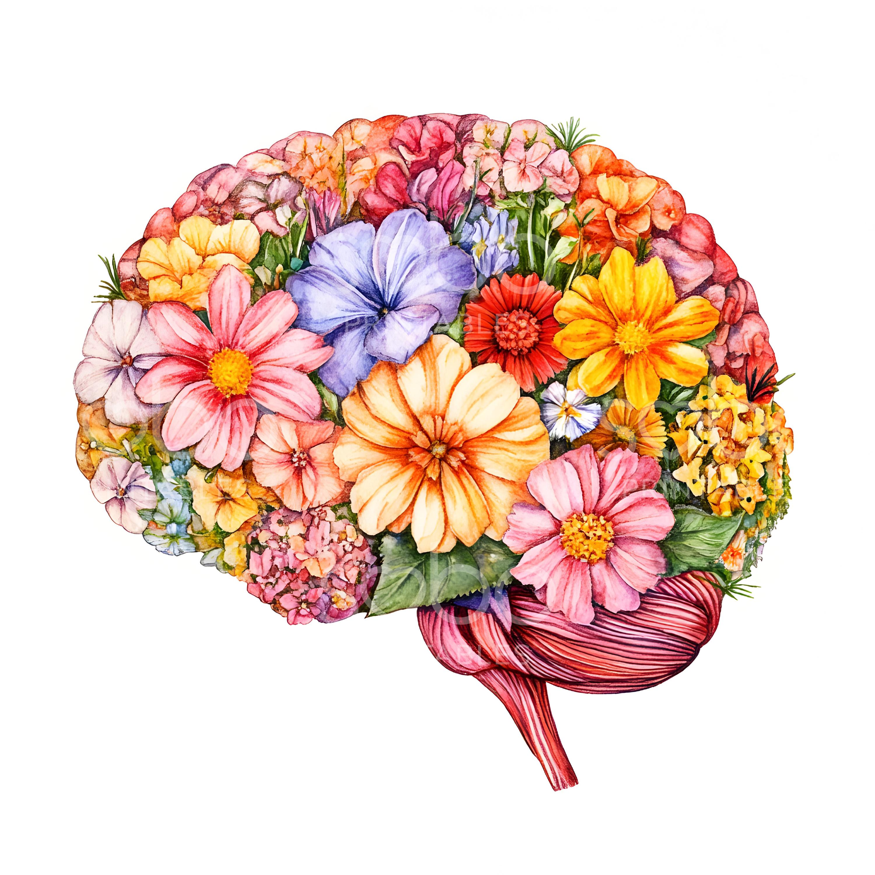15 Floral Human Brain Clipart, Floral Anatomical Brain, High Quality ...