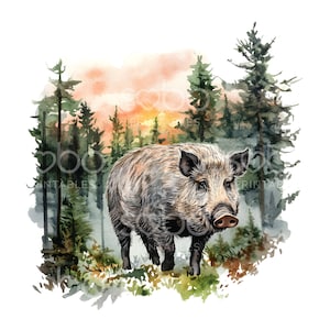 20 イノシシの森の夕日、自然野生動物、高品質JPG、印刷可能な水彩画、デジタルダウンロード、ペーパークラフト、ジャンクジャーナル S792