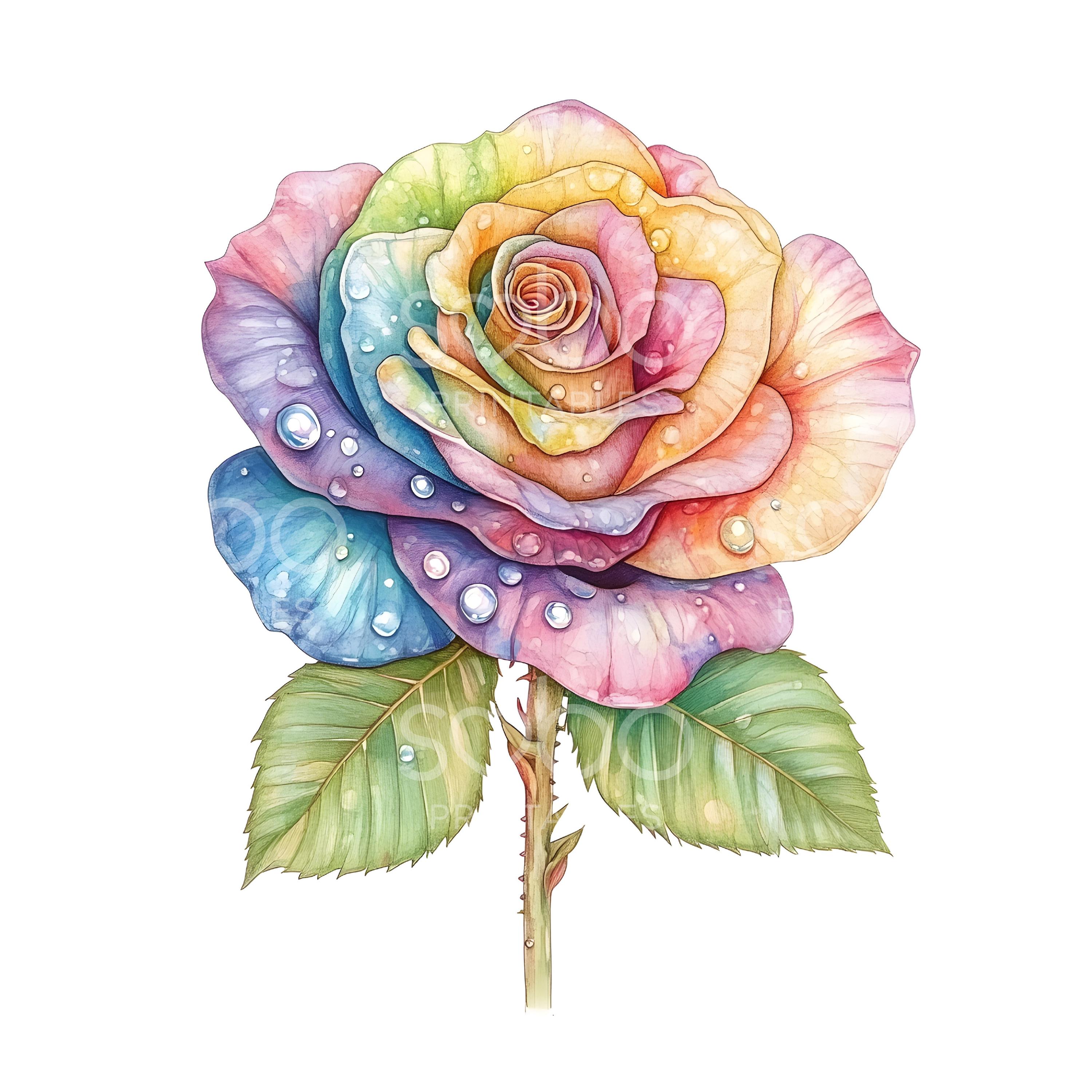 25 Colourful Roses Clipart, Rose Wedding Decor, Printable Watercolor ...