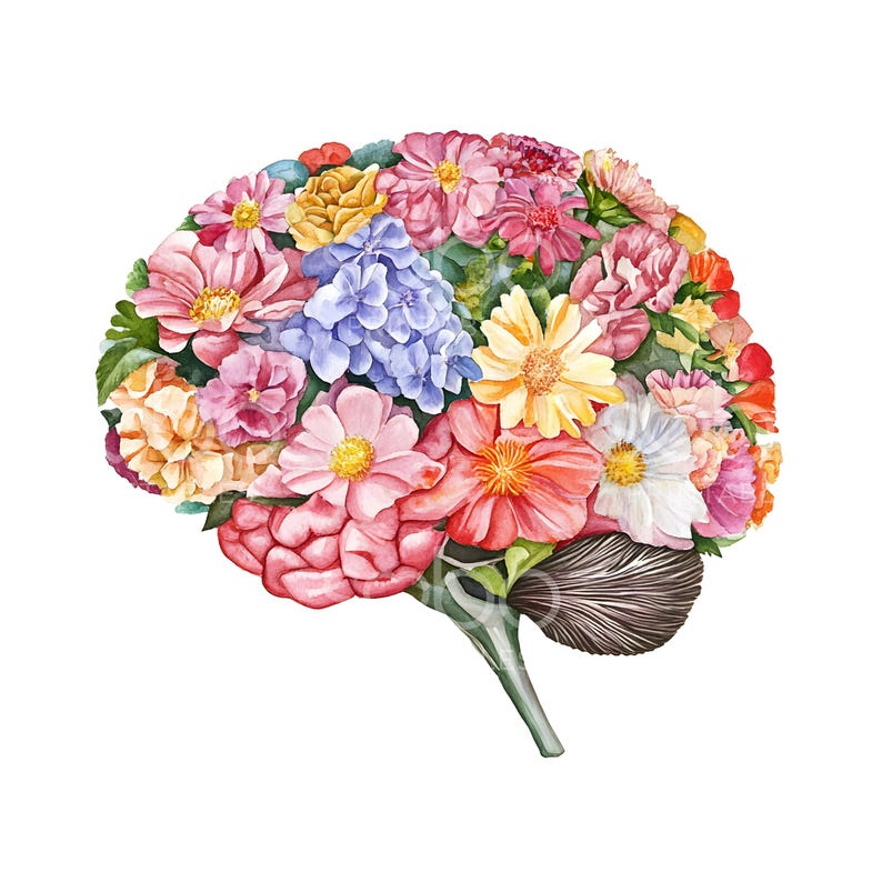 15 Floral Human Brain Clipart, Floral Anatomical Brain, High Quality ...