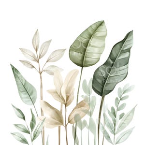 May include: Watercolor illustration of various green and beige tropical leaves and plants against a white background. The image features large, broad leaves and smaller, delicate foliage, creating a layered effect.