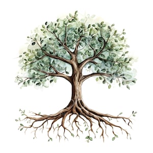 May include: Watercolor painting of a green tree with brown branches and roots. The tree has a thick trunk and many branches that spread out in all directions. The roots are visible and extend out from the base of the tree.