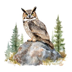 21 Clipart hibou grand duc, forêt du hibou duc, aquarelle imprimable, fichiers JPG de haute qualité, téléchargement numérique, créations en papier, journal indésirable S724