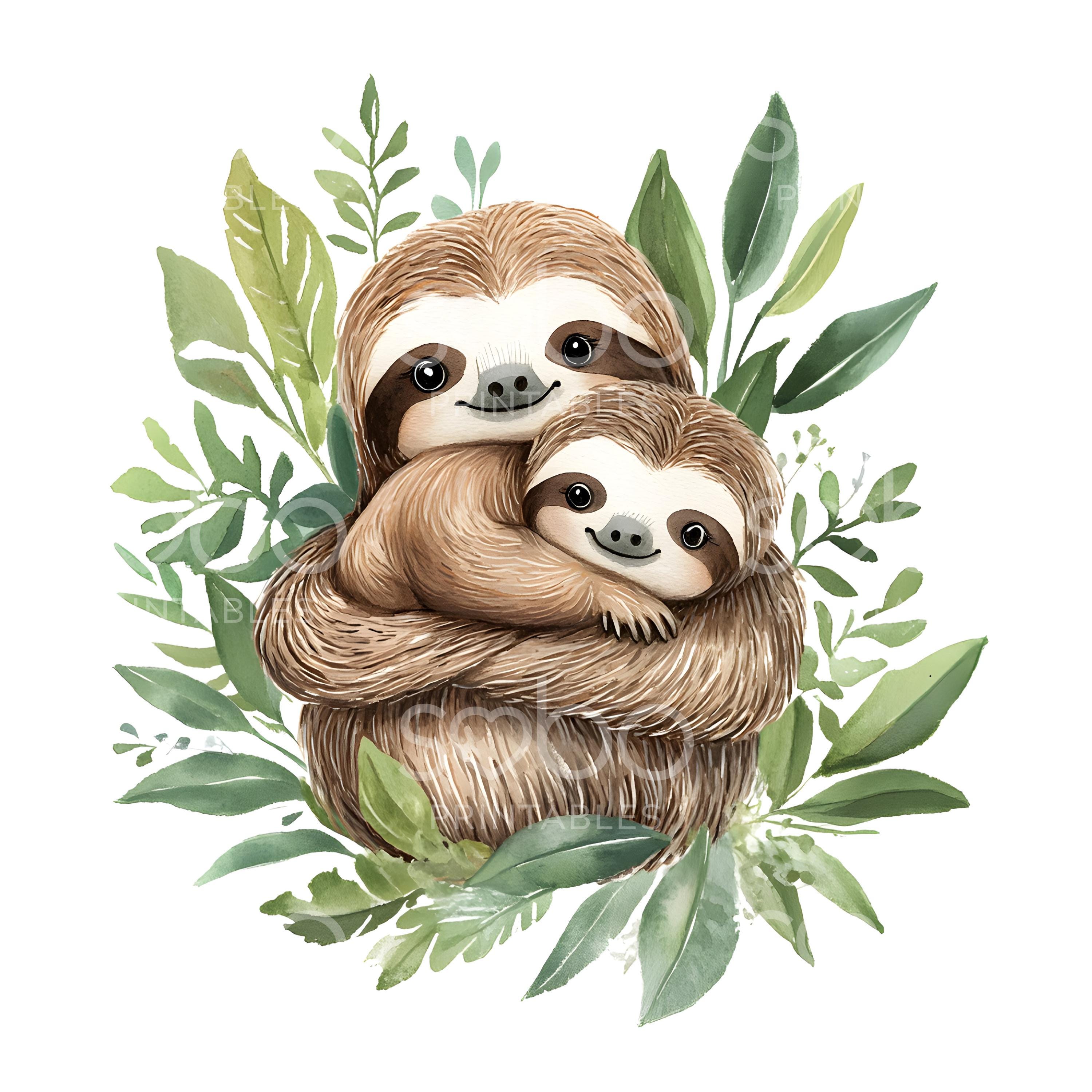 18 かわいいナマケモノのクリップアート、ジャングルのナマケモノ