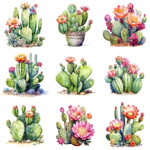 Clipart cactus - 15 fichiers JPG de haute qualité, téléchargements numériques - fabrication de cartes, techniques mixtes, créations numériques, art mural, livres souvenirs, album de scrapbooking S27