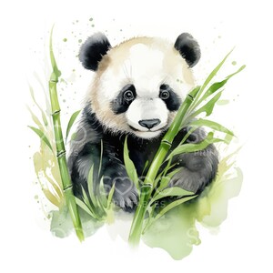 Clipart de pandas fofos - 16 JPGs de alta qualidade, scrapbooking, diários indesejados, planejadores digitais, sublimação, uso comercial, download instantâneo S08