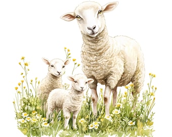 17 Owce i jagnięta Clipart, Owce na farmie, Wydrukowana sztuka akwarelowa, Wysokiej jakości pliki JPG, Pobieranie cyfrowe, Rękodzieło papierowe, Dziennik śmieci S787