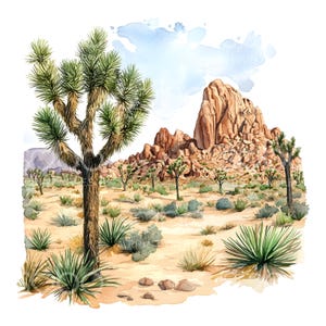 20 Joshua Tree Desert Clipart, California Travel Print, Drukowalna akwarela, Wysokiej jakości pliki JPG, Pobieranie cyfrowe, Rękodzieło papierowe, Dziennik S565