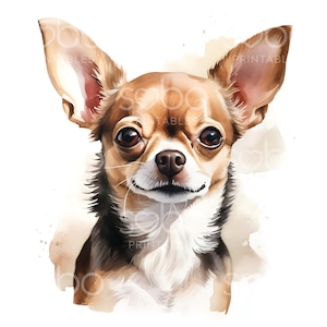 17 Chihuahua Clipart, Watercolor Chihuahua, High Quality JPGs, Digital Planner, Junk Journals, Scrapbooking, Craft, Digital Download S138