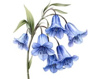33 Bluebell Flower Clipart, Watercolor Bluebells, Blue Florals, High Quality JPGs, Printable Watercolor, Digital Download, Paper Craft U292