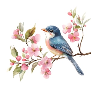 17 Clipart di uccelli floreali su rami, uccelli primaverili, JPG di alta qualità, arte ad acquerello stampabile, download digitale, artigianato di carta, diario spazzatura S693