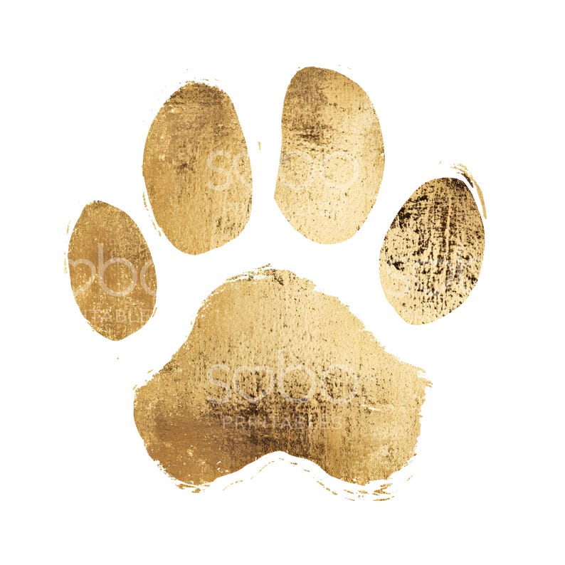 May include: A gold paw print with a textured, metallic finish. The print is isolated against a white background.