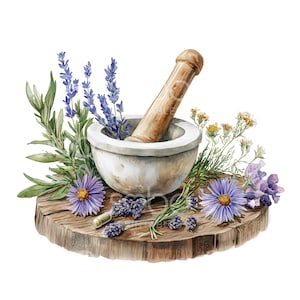 18 Clipart floral mortier et pilon, herbes de cuisine, mortier pilon, JPG de haute qualité, téléchargement numérique, créations en papier, Junk Journal S689