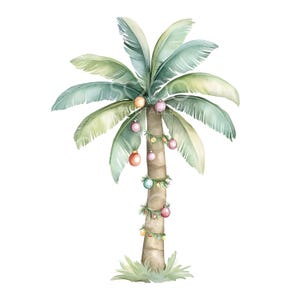 26 Clipart di alberi di Natale tropicali singoli, arte natalizia con palme, acquerello stampabile, JPG di alta qualità, download digitale, artigianato di carta S356