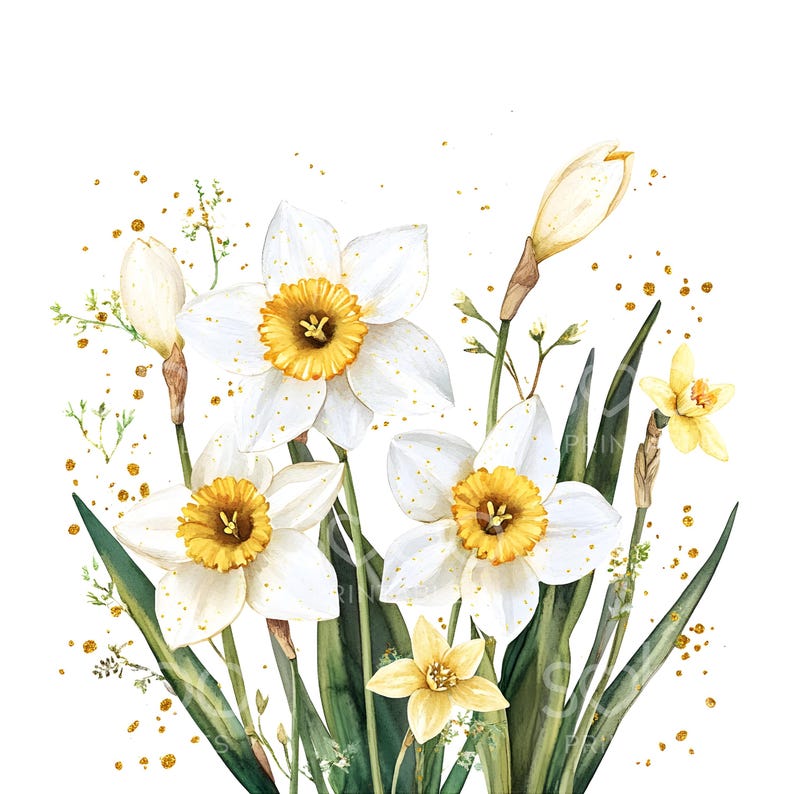 May include: A watercolor painting of a bouquet of white daffodils with yellow centers. The flowers are surrounded by green leaves and gold glitter.