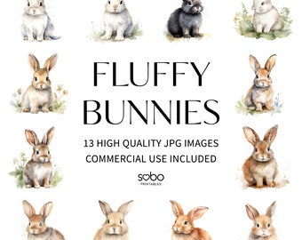 Fluffy Bunny Clipart - 13 High Quality JPGs, Digital download, High Resolution, Paper Crafts, Junk Journal, Printable Watercolor Art S57