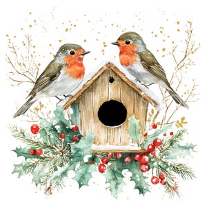 14 clipart de casa de passarinho de tordo de natal, pássaros fofos de tordo, cartão de natal, JPG de alta qualidade, download digital, artesanato em papel, diário de lixo S358