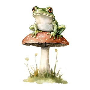 14 Clipart crapaud et champignon, clipart grenouille, aquarelle imprimable, JPG de haute qualité, téléchargement numérique, créations en papier, journal indésirable S665