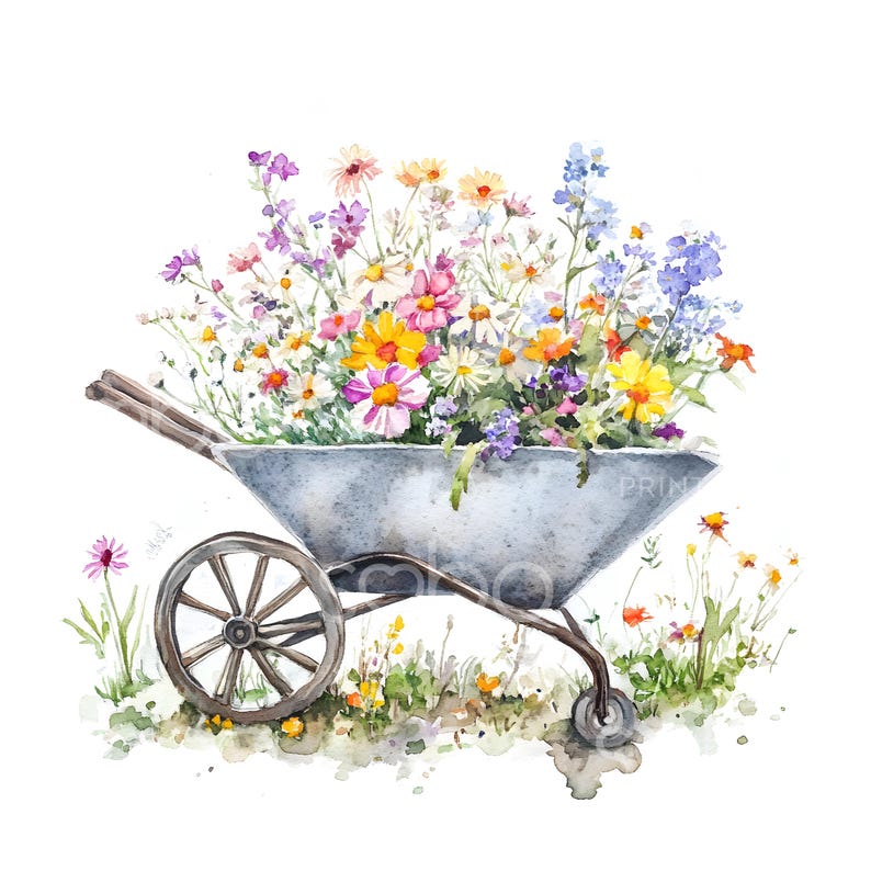 K&ouml;nnte beinhalten: Ein alter Schubkarren gef&uuml;llt mit einem bunten Strau&szlig; Wildblumen, darunter rosa, lila, gelbe und wei&szlig;e Bl&uuml;ten. Der Schubkarren steht auf einem Bett aus gr&uuml;nem Gras vor wei&szlig;em Hintergrund.