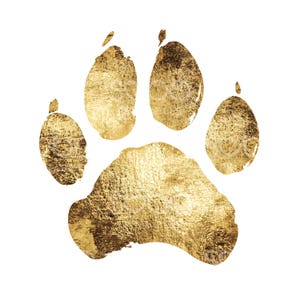 May include: A gold paw print with a textured surface. The print is a stylised representation of a dog's paw.