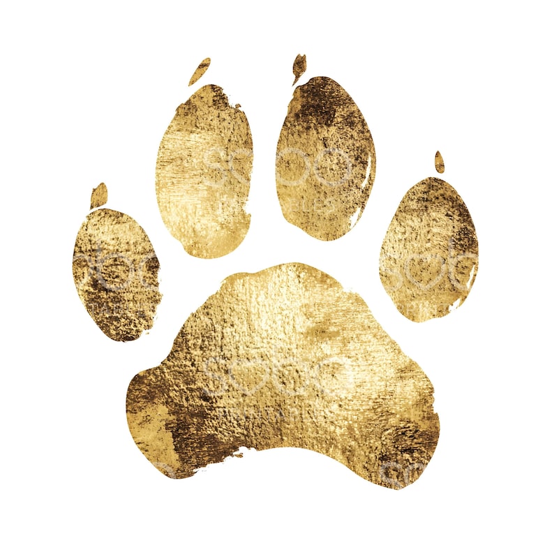 May include: A gold paw print with a textured surface. The print is a stylised representation of a dog's paw.