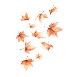 Puede incluir: Ilustración en acuarela de varias hojas de arce naranjas y beige dispersas sobre un fondo blanco. Las hojas, de diferentes tamaños, presentan venas y tallos detallados, evocando el otoño y la naturaleza.