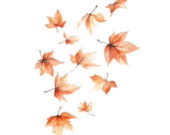 May include: Watercolor illustration of several orange and tan maple leaves scattered against a white background. The leaves vary in size and are depicted with detailed veins and stems, evoking a sense of autumn and nature.