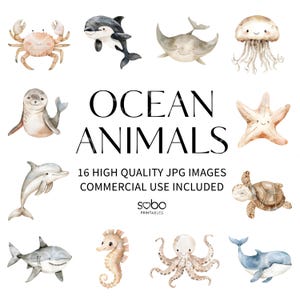 16 Animais Oceânicos Clipart, Animais Fofos do Oceano Subaquático, Tubarão, Baleia, Orca, Berçário de Animais, Vida Marinha em Aquarela, Download Digital S934