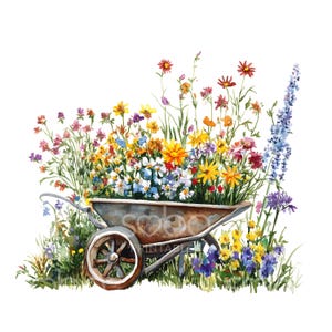 K&ouml;nnte beinhalten: Eine alte Metall-Gartenschaufel, die &uuml;berquillt mit einem bunten Sortiment an Wildblumen, darunter gelbe, orange, rote, rosa, blaue und violette Bl&uuml;ten. Die Schubkarre steht auf einem Bett aus gr&uuml;nem Gras.
