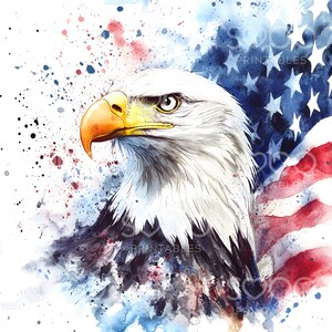 18 Patriotic Bald Eagle Flag Clipart, USA Flag, America Flag Eagle