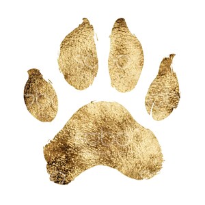 May include: A gold paw print with a textured surface.