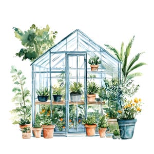 May include: A watercolor painting of a greenhouse filled with plants. The greenhouse is made of glass and metal and has a light blue frame. There are many different types of plants inside, including ferns, succulents, and flowering plants. The plants are in terracotta pots and are arranged on shelves inside the greenhouse.