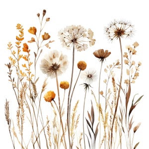 18 Boho Flores Buquê Clipart, Pampas, Flores Secas Arte de Parede, Aquarela Imprimível, JPGs de Alta Qualidade, Download Digital, Papel Artesanal S345