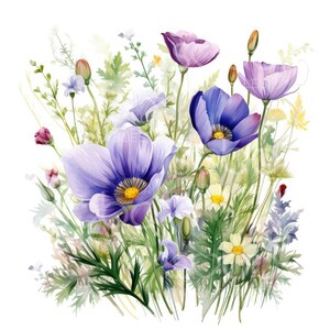 Clipart fleurs sauvages de l'été - 12 fichiers JPG de haute qualité, téléchargement numérique, journal indésirable, fabrication de cartes, techniques mixtes, création numérique en papier S25