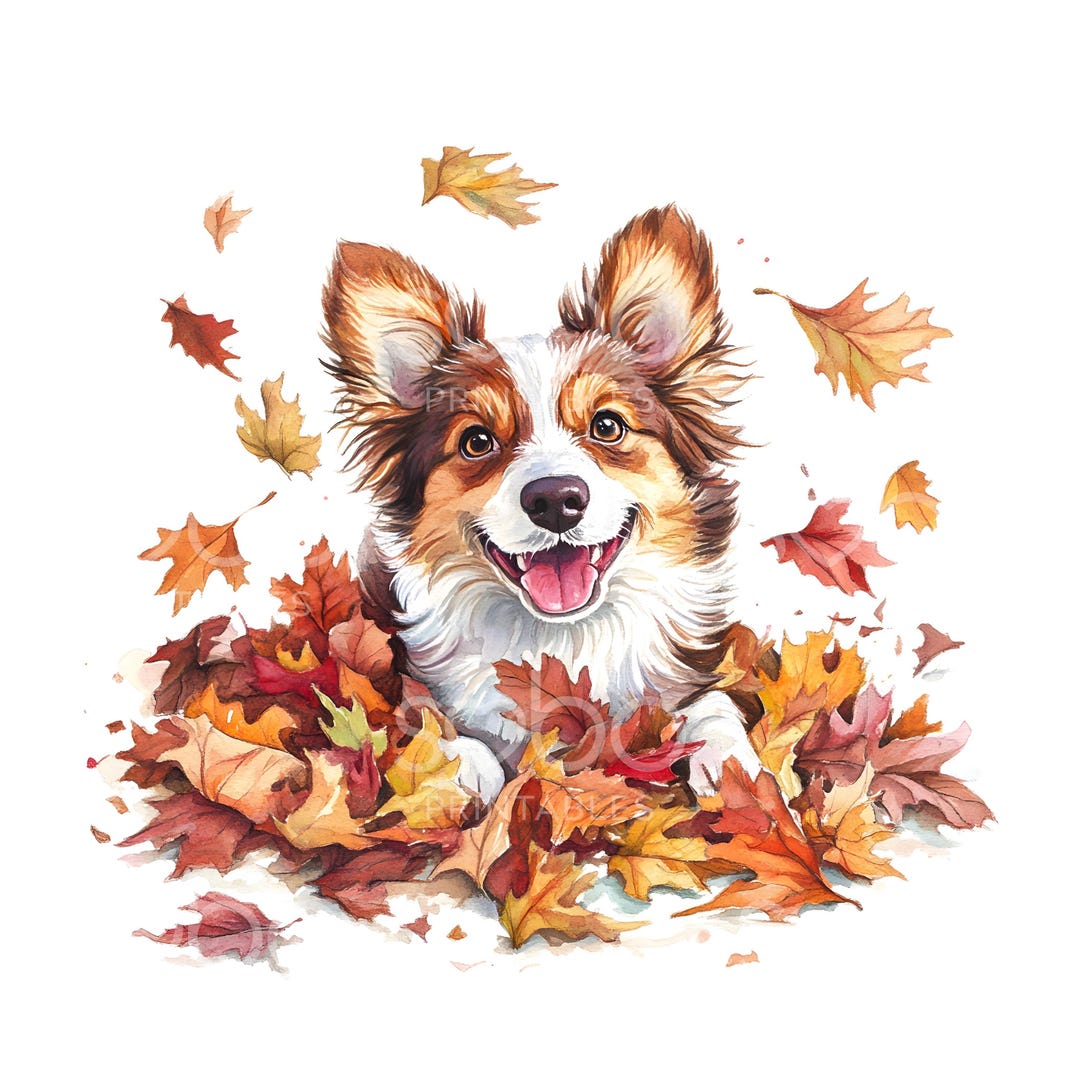 絵 題   犬と紅葉 il_1080xN.7205710343_o444.jpg