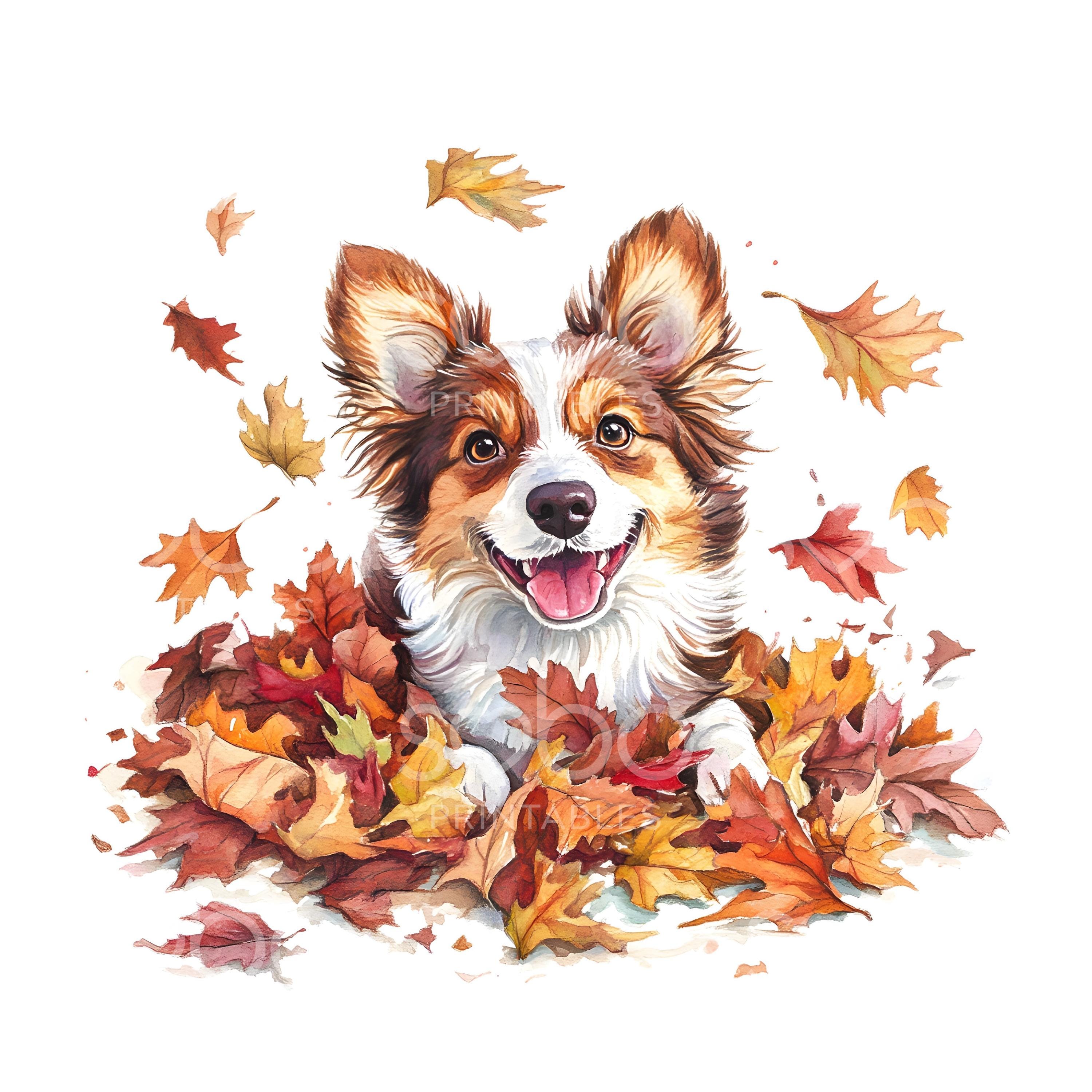 犬の秋の落ち葉のクリップアート19点、秋の落ち葉の山、犬好きへの
