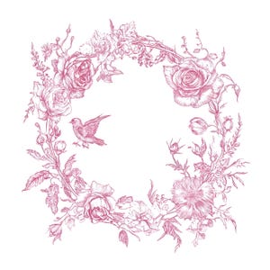 20 Rosa Toile Rahmen Clipart, Französisch Toil de Jouy, Chinoiserie Rahmen, Toile Floral, hochwertige JPGs, Digital Download, Paper Craft S890