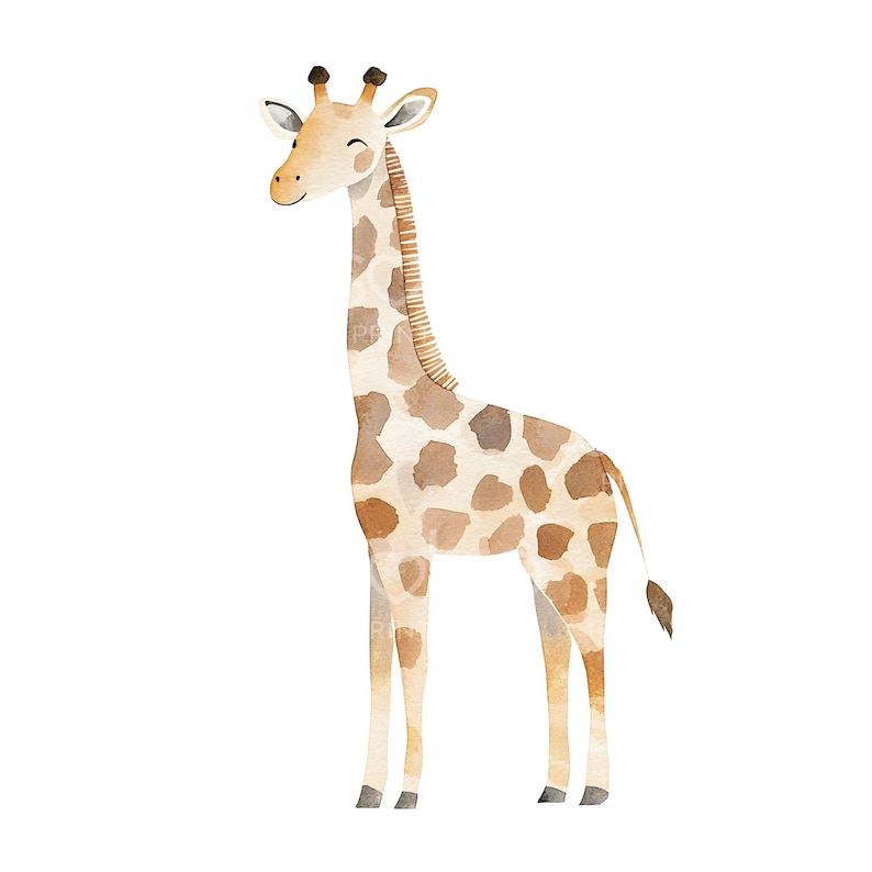 May include: A watercolor illustration of a giraffe with a light brown and tan spotted pattern. The giraffe is standing on a white background.