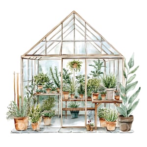 May include: A watercolor illustration of a greenhouse filled with various plants and flowers. The greenhouse has a wooden frame and glass panels. There are several potted plants on shelves and benches inside the greenhouse.